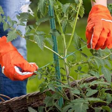 Sturdy 4 Ft Steel Garden Stakes - 25 Pack for Plants