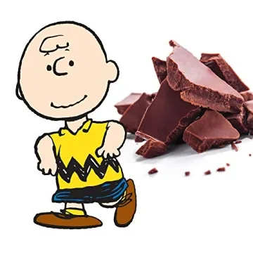 Snoopy Valentine's Chocolate Variety Pack for Everyone