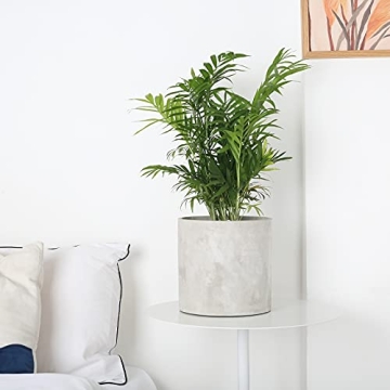 Modern Grey Cement Plant Pots Indoor with Drainage