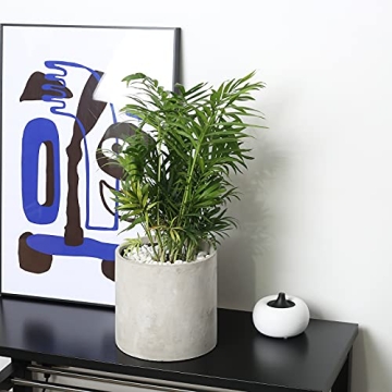 Modern Grey Cement Plant Pots Indoor with Drainage