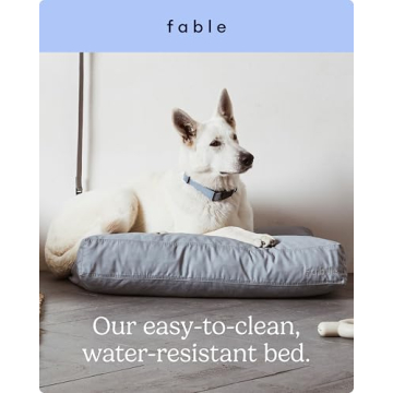 FABLE Dog Bed - Soft Memory Foam, Easy to Clean - Medium Size