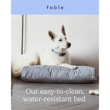 FABLE Dog Bed - Soft Memory Foam, Easy to Clean - Medium Size