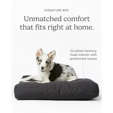 FABLE Dog Bed - Soft Memory Foam, Easy to Clean - Medium Size