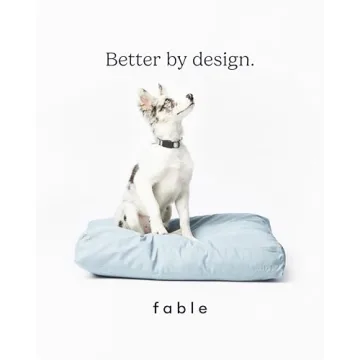 FABLE Dog Bed - Soft Memory Foam, Easy to Clean - Medium Size