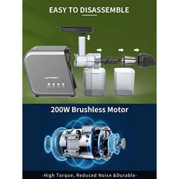 Masticating Slow Juicers for Leafy Greens Tomato Celery Carrot Wheatgrass, Cold Press Slow Juicer Machines Quiet Motor Easy Clean, Vegetable and Fruit Juice Extractor BPA-Free Dry Pulp Dishwasher Safe