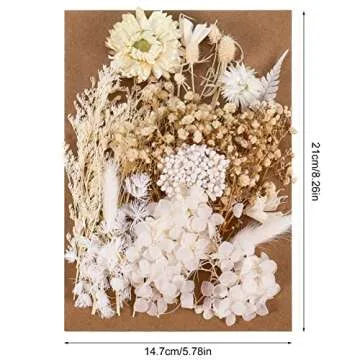 AhlsenL Real Dried Flowers, Natural Dried Flowers Mixed, Hydrangeas, Daisies, Natural Pressed Flower...