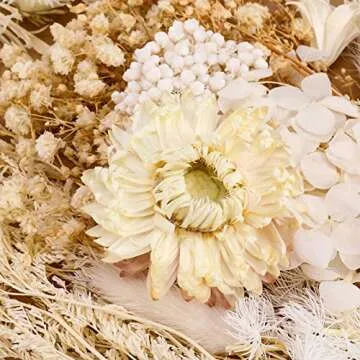 AhlsenL Real Dried Flowers for DIY Projects and Gifts