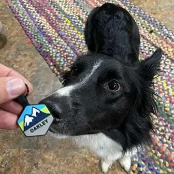 Silent Dog Tag - Personalized Silicone Pet ID Tag