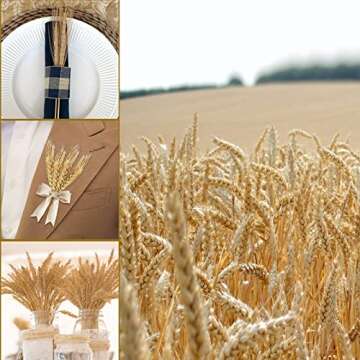 Uieke 17.7 Inches Dried Wheat Stalks, 200 Stems Dried Flowers 100% Natural Wheat for Home Kitchen We...