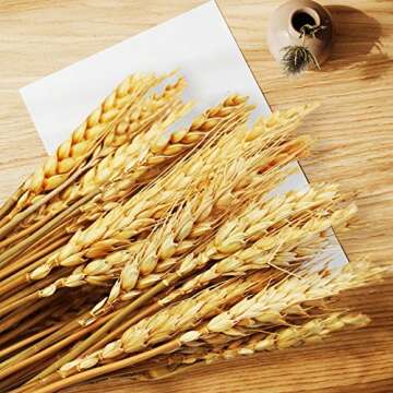 Uieke 17.7 Inches Dried Wheat Stalks, 200 Stems Dried Flowers 100% Natural Wheat for Home Kitchen Wedding Party Table Centerpiece Harvest Wreath Boho Farmhouse DIY Decoration