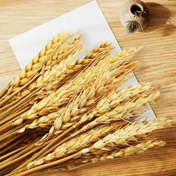 Uieke 17.7 Inches Dried Wheat Stalks, 200 Stems Dried Flowers 100% Natural Wheat for Home Kitchen Wedding Party Table Centerpiece Harvest Wreath Boho Farmhouse DIY Decoration