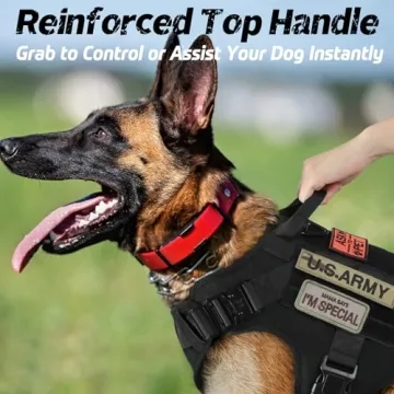 Heavy Duty Rabbitgoo Tactical Dog Harness for Large Breeds