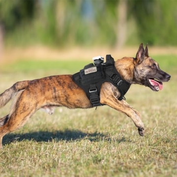Heavy Duty Rabbitgoo Tactical Dog Harness for Large Breeds