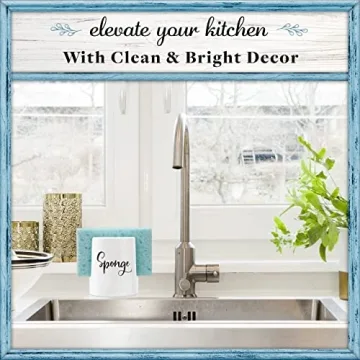 Stylish Home Acre Sponge Holder for Kitchen Sink