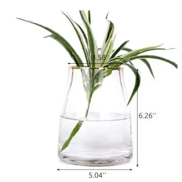 VanEnjoy 7 inch Clear Simple Glass Flower Vase, Decorative Gilded Rim Vase Home Decor for Indoor Cen...