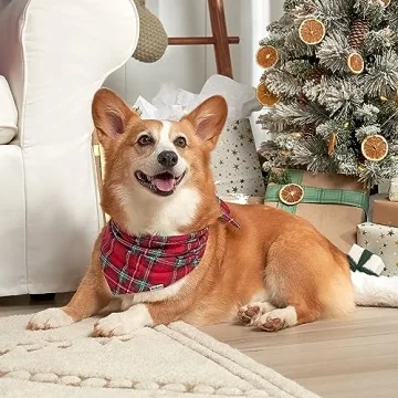 Cozy Gerber Baby Toddler Matching Pajamas for Christmas