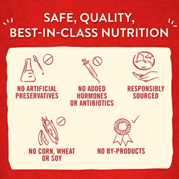 Stella & Chewy's Wild Weenies Dog Treats – Protein-Rich & Natural