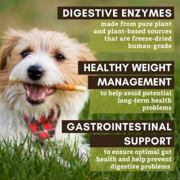Wholistic Pet Organics Digest-All: Dog Digestive Supplement - Digestive Support for Cats - Digestive...