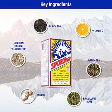 SPORTea Iced | Decaf Energy Drink with Green & Black Tea, Vitamins, Minerals, Electrolytes, Yerba Mate, Siberian Ginseng | 7 Cold Brew Tea Bags | Healthy, Easy | 2 Pack