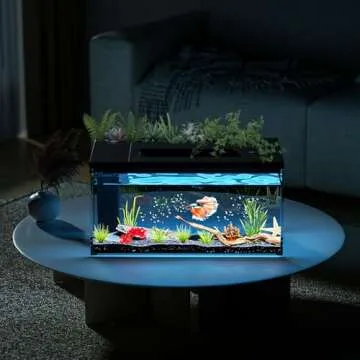 ERAARK Betta Fish Tank with LED Light and Filter