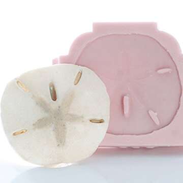 Sand Dollar Silicone Mold Food Safe Fondant, Chocolate, Candy, Resin, Polymer Clay, Soap, Craft, Jewelry Food Mold.