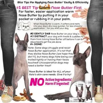 The Blissful Dog Nose Butter for Instant Relief  Dry Nose