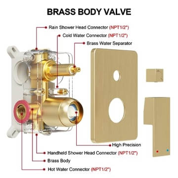 HoliSpa Shower System with 10-Inch Gold Rain Shower Head