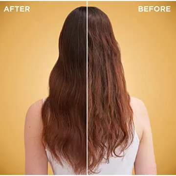 Garnier Whole Blends Honey Treasures Repairing Mask, for Dry, Damaged Hair, 10.1 Fl Oz, 2 Count (Packaging May Vary)