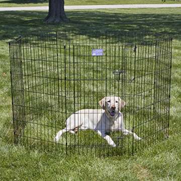 MidWest Homes for Pets Dog Exercise Pen & Playpen, 24"W x 42"H, With Door, Black