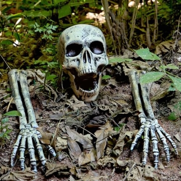 JOYIN Realistic Skeleton Decorations for Halloween Yard