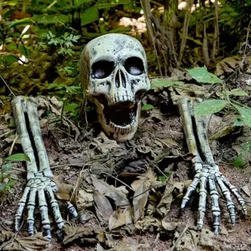 JOYIN Realistic Skeleton Decorations for Halloween Yard