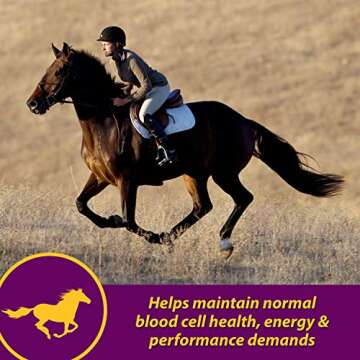 Farnam Horse Health Red Cell, Liquid Vitamin-Iron-Mineral Supplement for Horses, Helps Fill Importan...