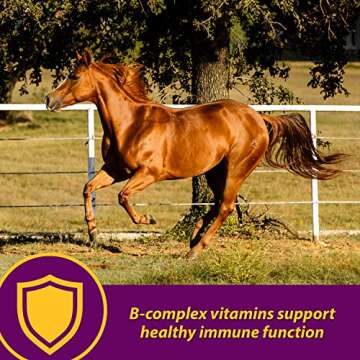 Farnam Horse Health Red Cell, Liquid Vitamin-Iron-Mineral Supplement for Horses, Helps Fill Important Nutritional Gaps in Horse's Diet, 1 Gallon, 128 Oz., 64-Day Supply