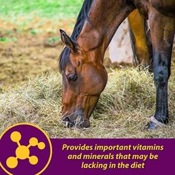 Farnam Horse Health Red Cell, Liquid Vitamin-Iron-Mineral Supplement for Horses, Helps Fill Important Nutritional Gaps in Horse's Diet, 1 Gallon, 128 Oz., 64-Day Supply