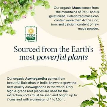 Ora Organic Natural Hormone Balance Supplement & Hormonal Acne Relief for Women - Support Skin, Mood, Energy, PMS & Menopause - Ashwagandha, Maca, Burdock Root, Cordyceps & VIT C - 90 Capsules