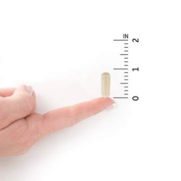 Garden of Life Once Daily Prenatal Probiotic - 30 Capsules