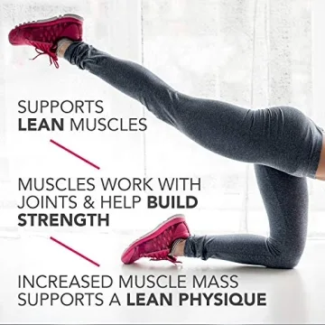 Chocolate Protein Bars Variety Pack - 18 Count