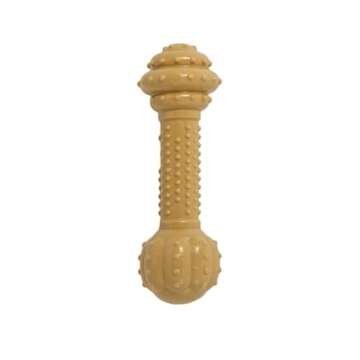Nylabone Barbell Power Chew Toy for Aggressive Chewers