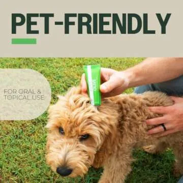 PurO3 Fully Ozonated Olive Oil - Pure, Natural, Organic Skin Care from Ozonated, Oxygenated Olive Oil - Glass Jar, 2 oz