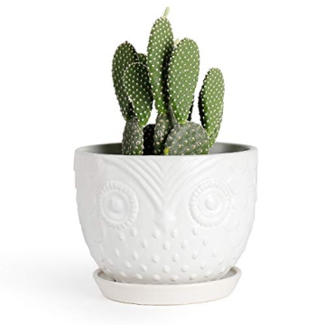 Charming White Owl Ceramic Plant Pot for Medium Plants