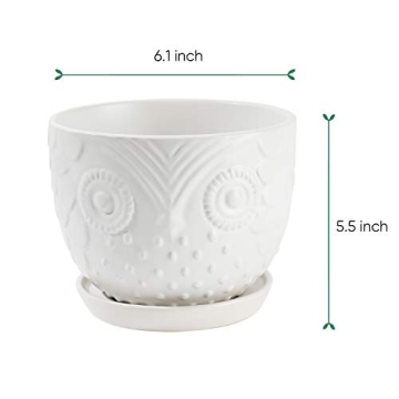 Charming White Owl Ceramic Plant Pot for Medium Plants
