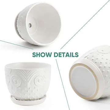 Charming White Owl Ceramic Plant Pot for Medium Plants