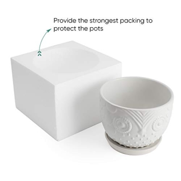 Charming White Owl Ceramic Plant Pot for Medium Plants