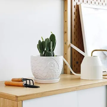 Charming White Owl Ceramic Plant Pot for Medium Plants