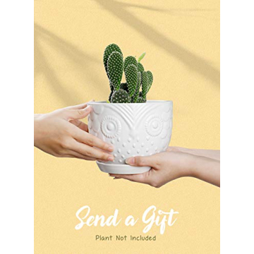 Charming White Owl Ceramic Plant Pot for Medium Plants