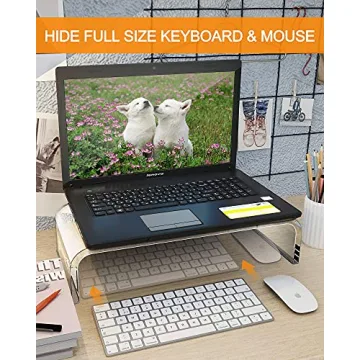 Clear Monitor Riser - Acrylic Stand with 50LB Capacity