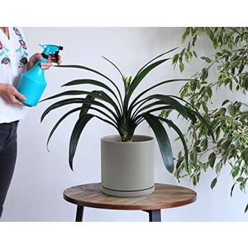 D'vine Dev 8 Inch Ceramic Planter Pot with Drainage Hole and Saucer, Indoor Cylinder Round Planter P...