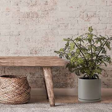 D'vine Dev 8 Inch Ceramic Planter Pot with Drainage Hole and Saucer, Indoor Cylinder Round Planter Pot, Grey, 94-O-D-3