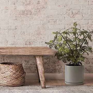 D'vine Dev 8 Inch Ceramic Planter Pot with Drainage Hole and Saucer, Indoor Cylinder Round Planter Pot, Grey, 94-O-D-3