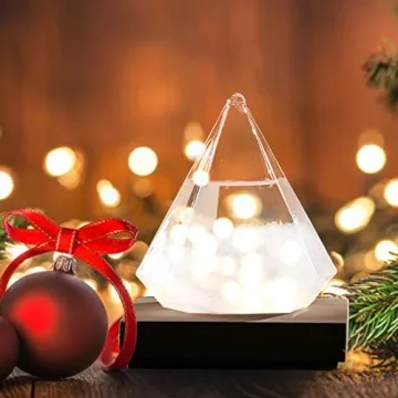 Weather Storm Glass Bottle Stylish Weather Forecaster